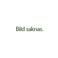Bild Saknas